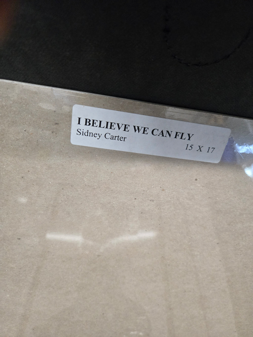 Believe We Can Fly by Sidney Carter
